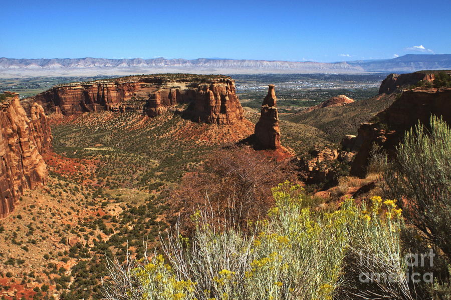 Grand Mesa, Colorado Photograph by Steffani GreenLeaf Pixels