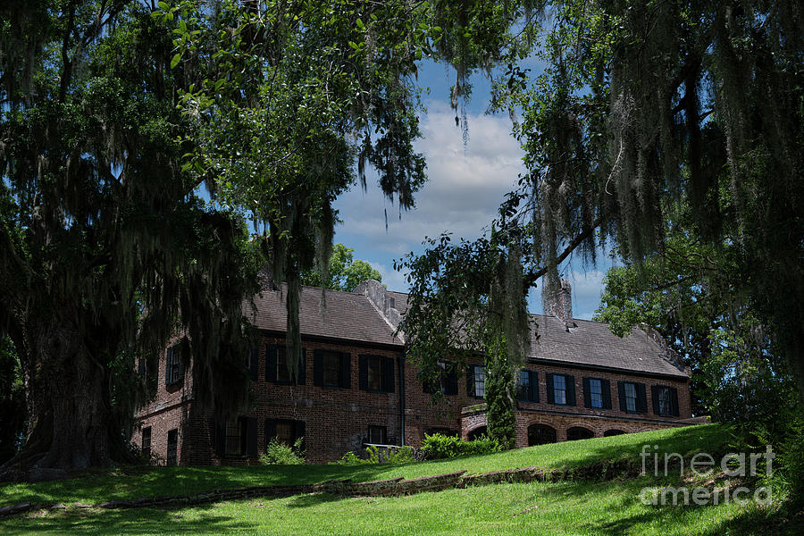 Grand Old Lady - Middleton Place Photograph