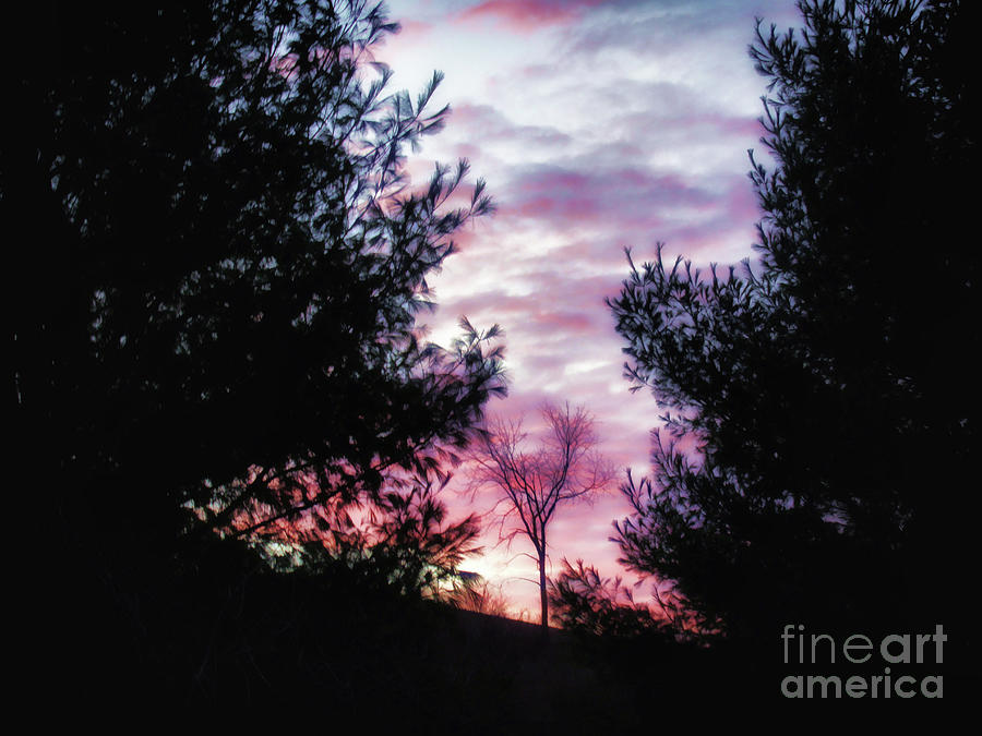 Grand Pink Morning Photograph by AnnMarie Parson-McNamara