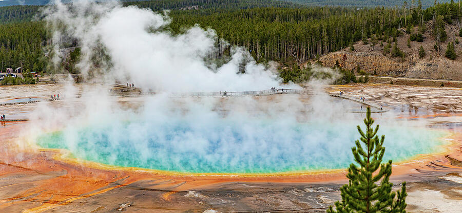 Grand Prismatic Pano Photograph by Tim Stanley