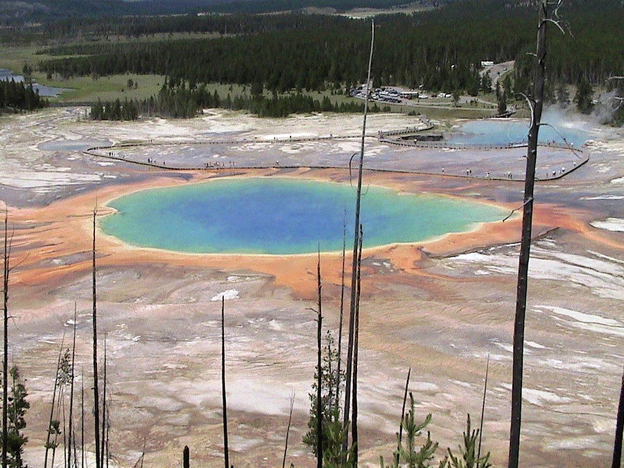 Grand Prismatic Spring Photograph by Carl Moore