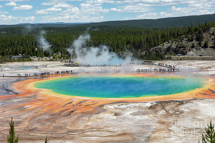 Grand Prismatic Spring Photograph by Erin Marie Davis