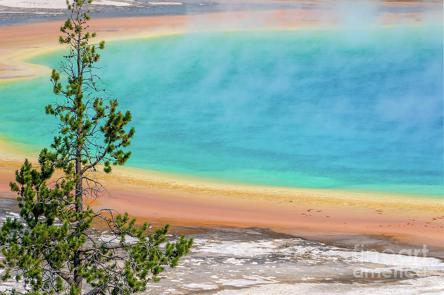 Grand Prismatic spring in Yellowstone Photograph by Delphimages Photo Creations