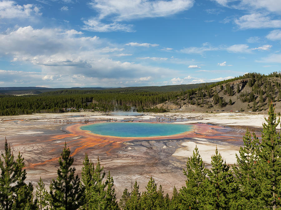 Grand Prismatic Spring Photograph by James Marvin Phelps