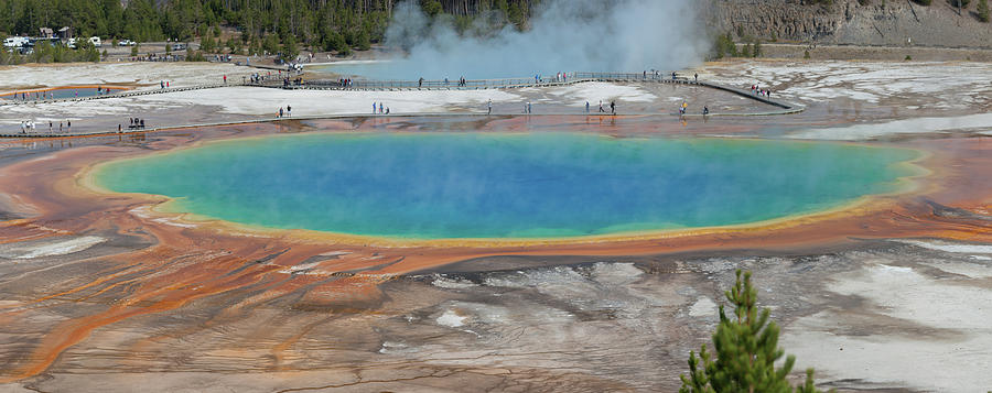 Grand Prismatic Spring Pano Photograph by Cliff Wassmann