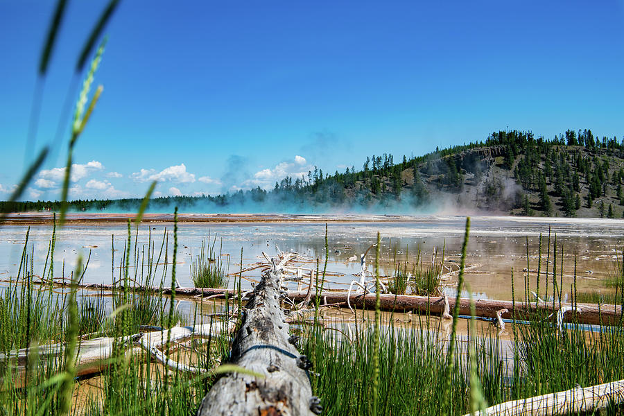 Yellowstone National Park Photograph - Grand Prismatic Spring by Rose Guinther