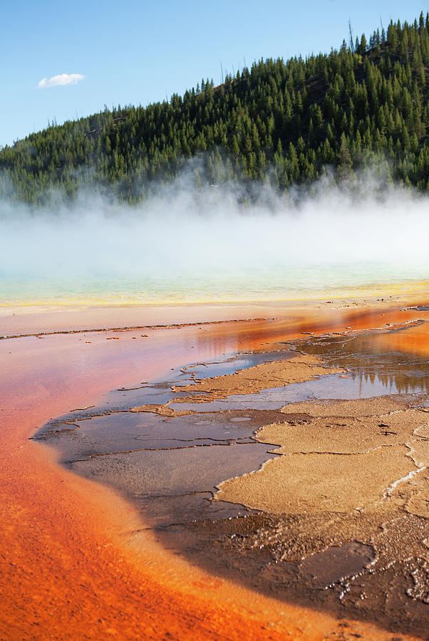 Grand Prismatic Spring Vertical Photograph by Marilyn Hunt