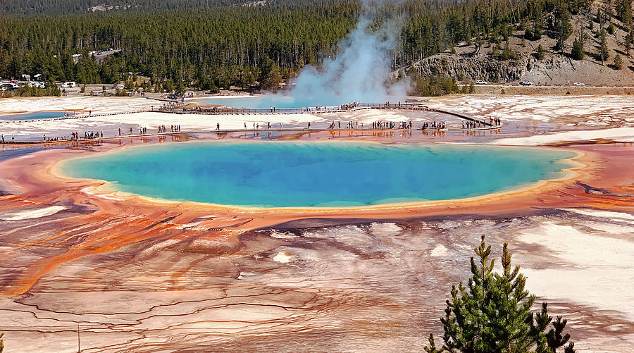 Grand Prismatic Spring Yellowstone Photograph by Marilyn Hunt