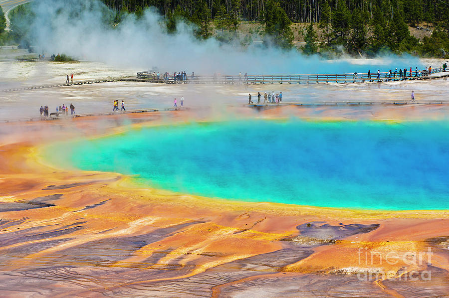 Grand Prismatic Spring, Yellowstone national park, Wyoming, USA  Photograph by Neale And Judith Clark