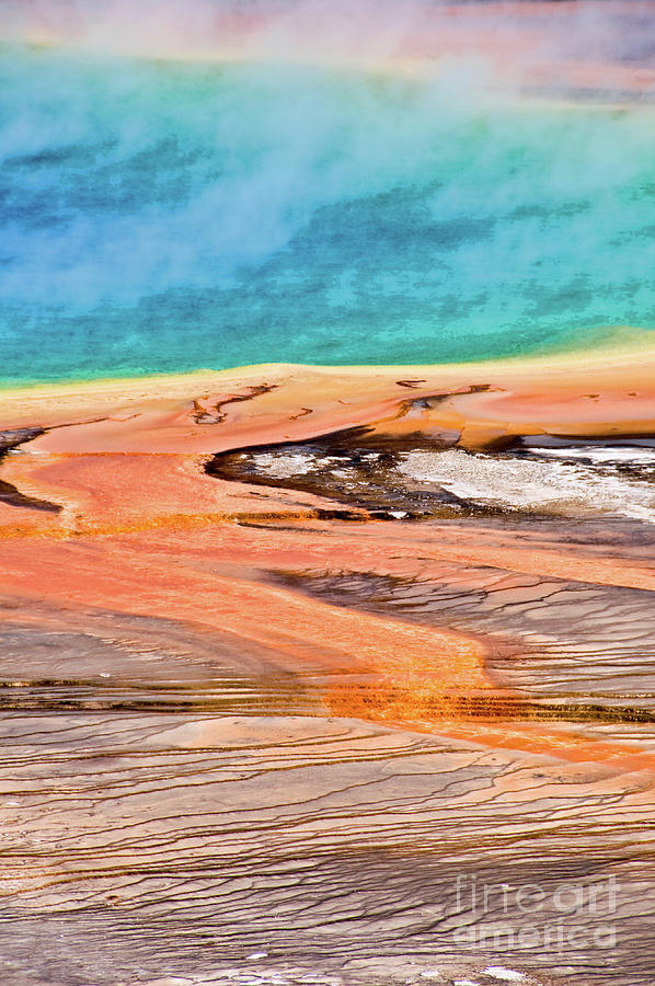 Grand Prismatic spring Yellowstone vertical Photograph by Delphimages Photo Creations