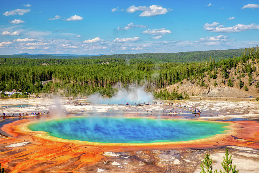 Grand Prismatic Springs in Yellowstone National Park Photograph by Peter Ciro