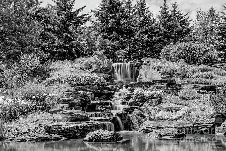 Grand Rapids Waterfall Grayscale Photograph by Jennifer White