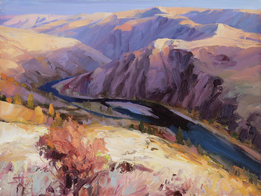Grand Ronde River Gorge Painting by Steve Henderson