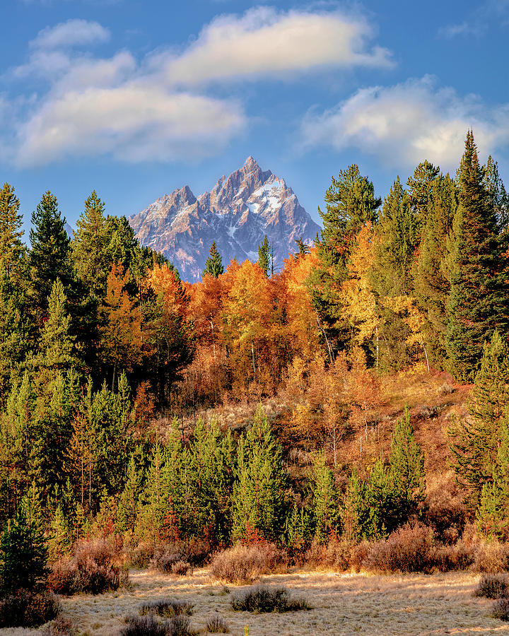 Grand Teton Autumn Colors Photograph by Jack Bell