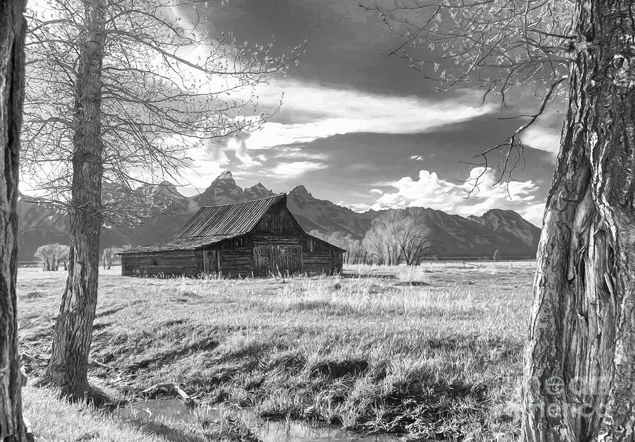 Grand Teton Barn Black and White Photograph by Mel Steinhauer