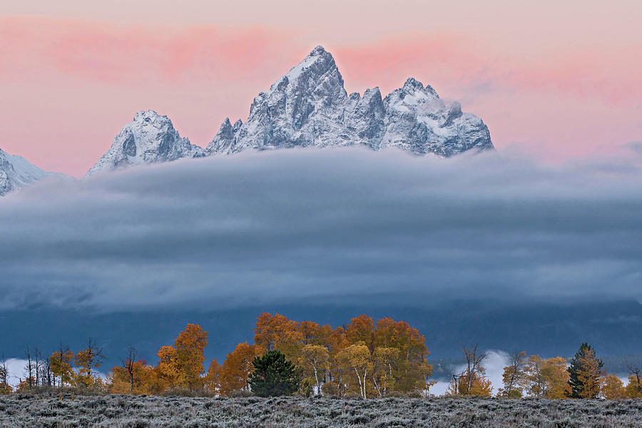 Grand Teton Color Photograph by Wesley Aston