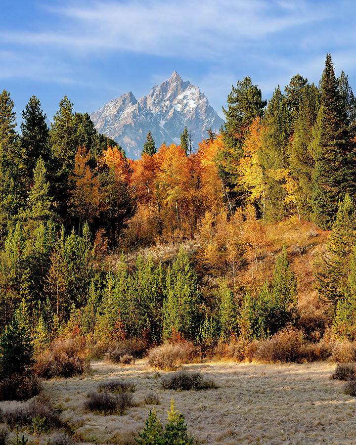 Grand Teton National Park Photograph by Jack Bell