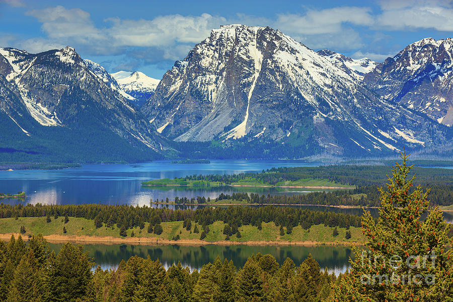 Grand Teton N.P. Photograph by Henk Meijer Photography