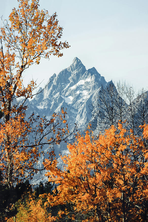 Grand Teton Peak In Autumn Photograph by Dan Sproul