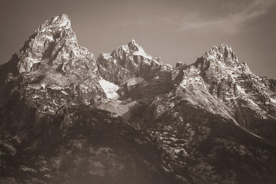Grand Teton Peak To Peak In Sepia Photograph by Gregory Ballos