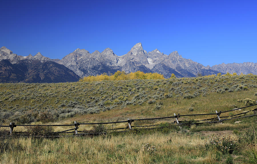Grand Teton Rustic Fence Photograph by Dan Sproul