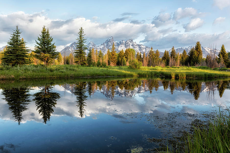Grand Tetons and Trees Reflected in Snake River at Schwabachers Photograph by Belinda Greb