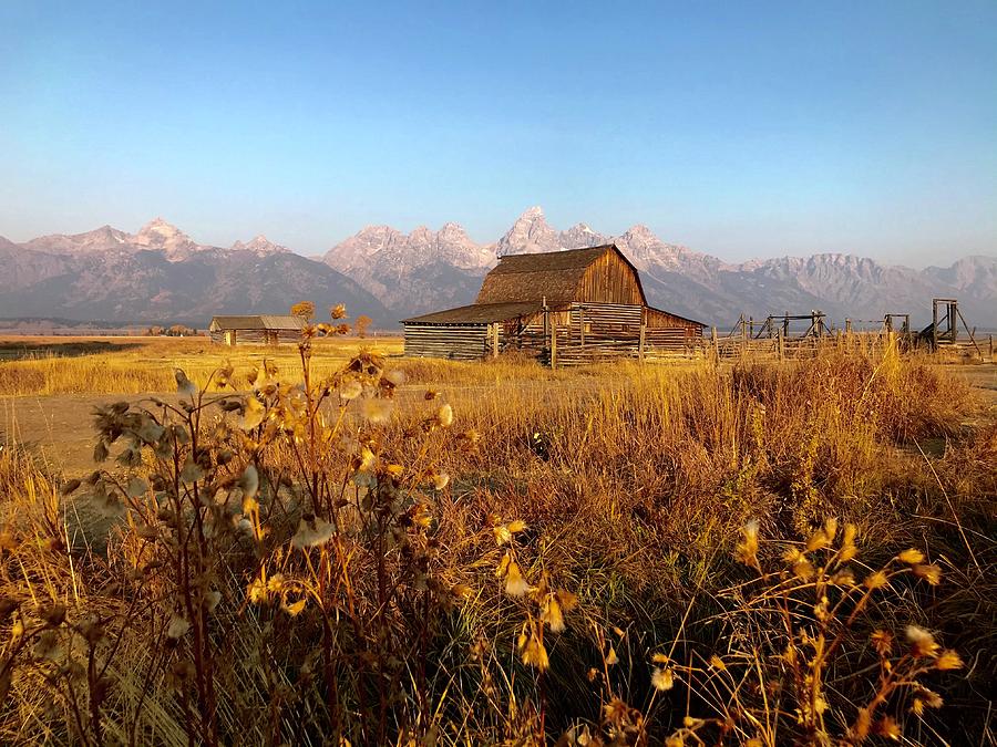 Grand Teton's Barn View Photograph by Zackary Jones - Fine Art America