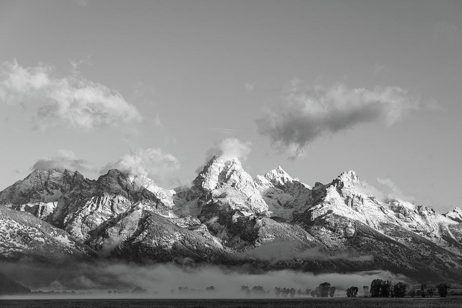 Grand Tetons in B/W Photograph by Mary Hone