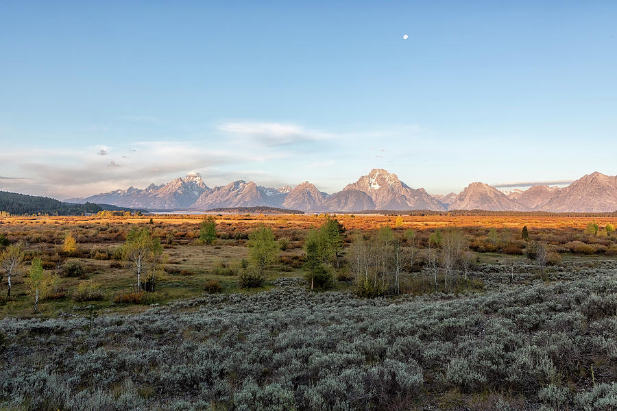 Grand Tetons in Early Morning from Willow Flats, No. 2 Photograph by Belinda Greb