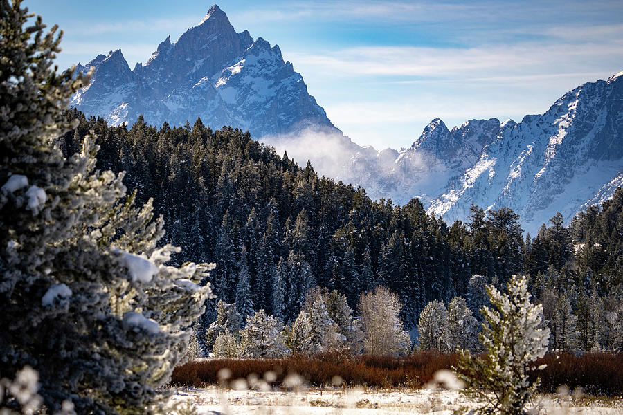 Grand Tetons in Winter Photograph by Wesley Aston