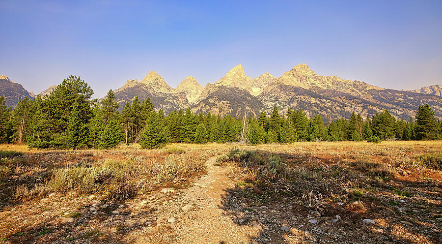 Grand Tetons Landscape 3 Photograph by Judy Vincent - Pixels