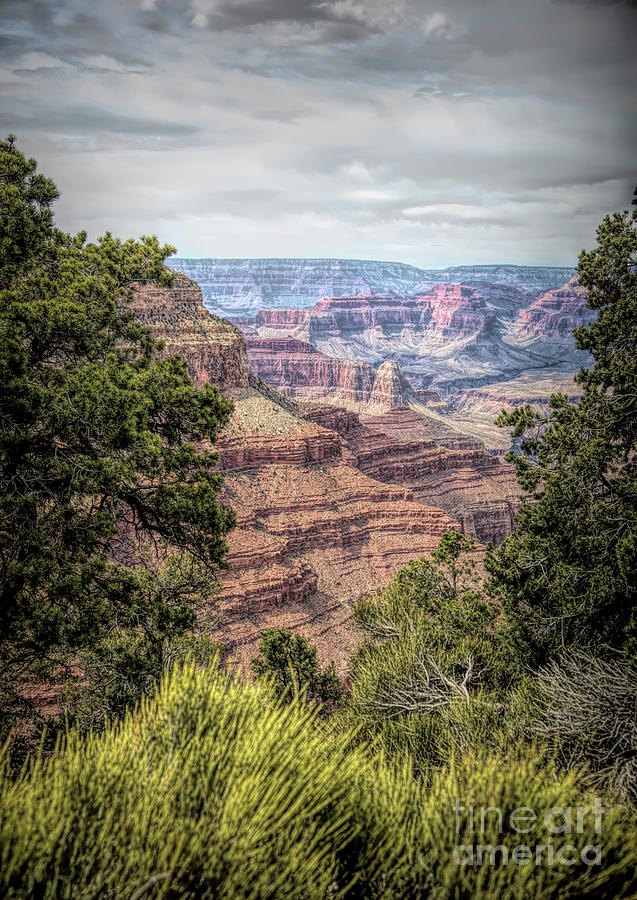 Grand Canyon National Park Photograph - Grand View Grand Canyon Arizona USA by Chuck Kuhn