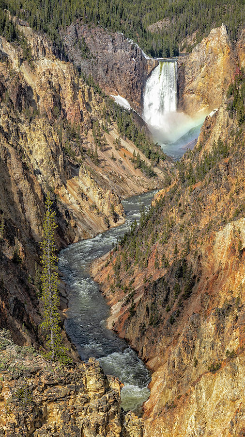 Grand View of Lower Yellowstone Falls Photograph by Stephen Stookey
