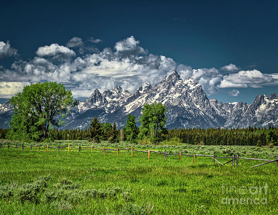 Grand View of the Tetons Photograph by Nick Zelinsky Jr