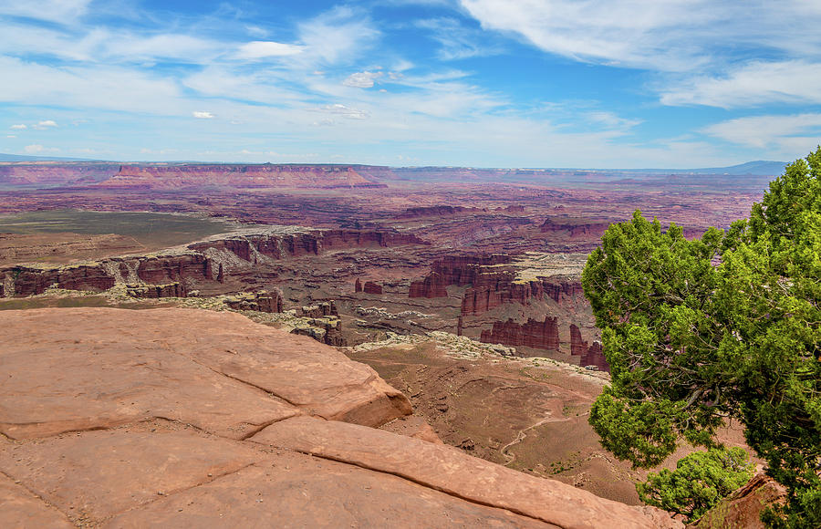 Grand View Point Overlook - Canyonlands Photograph by Anthony Sacco