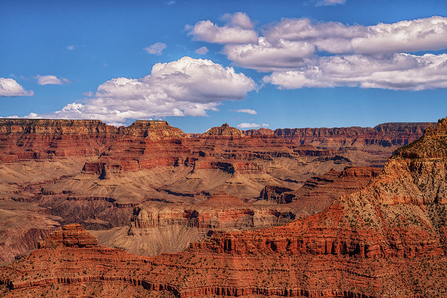 Arizona Photograph - Grand Views by Framing Places Arizona Photograph - Grand Views by Framing Places