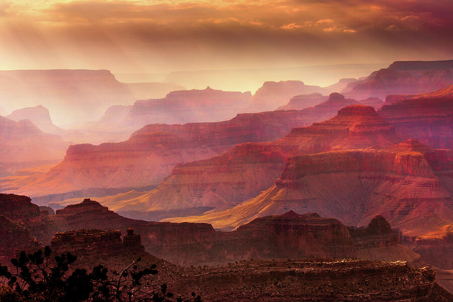 Grand Canyon National Park Photograph - Grandeur by Mikes Nature
