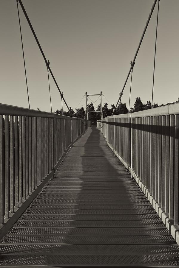 Bridge Photograph - Grandfather Mountain Swinging Bridge by Dan Sproul