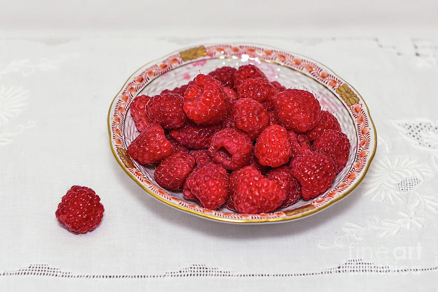 Grandmas Garden Raspberry Photograph by Olga Hamilton