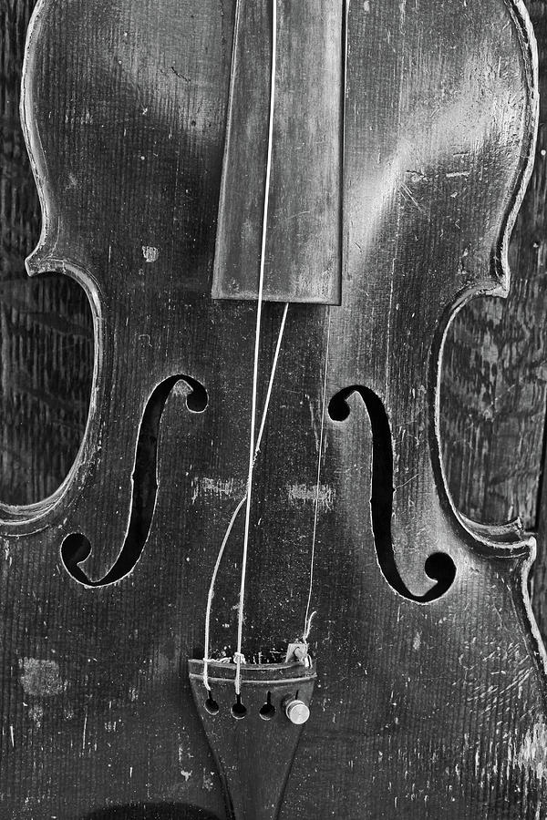 Grandpas Old Violin 020922 Photograph by Mary Bedy