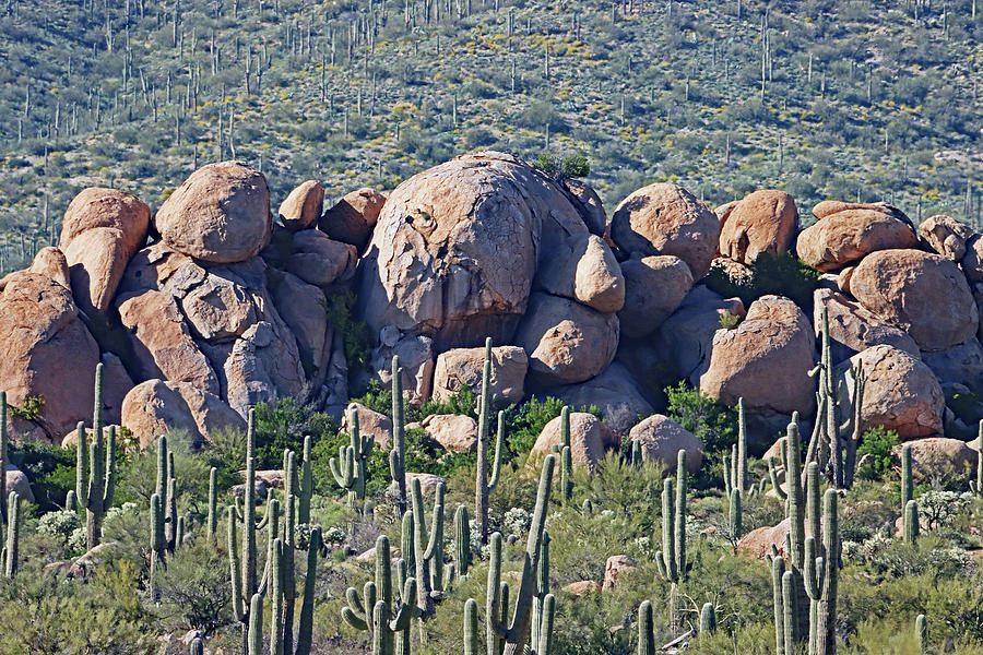 Granite Boulders And Saguaro Cacti Digital Art by Tom Janca