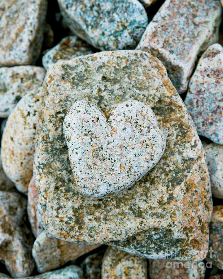 Granite Loves Acadia Photograph