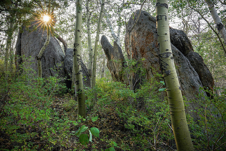 Granite Sentinels Photograph by Ron Long Ltd Photography