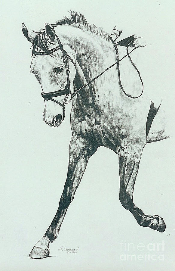 Horse Drawing - Granite by Suzanne Leonard