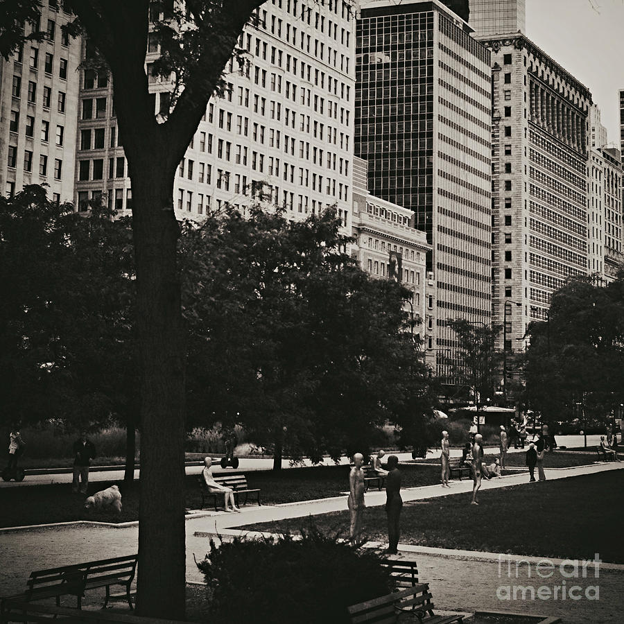 Grant Park Chicago - Monochrome - Frank J Casella Photograph