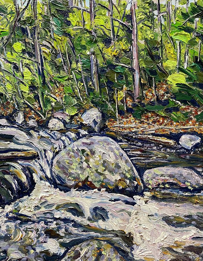 Granville Gorge Rocks and Rapids Painting by Richard Nowak