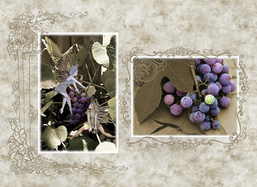 Grape Fairies And First Harvest Photograph