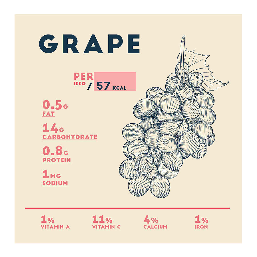 Grape Nutrition Facts Drawing By Info Eats