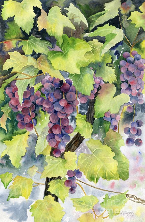 Grape Vines Painting by Melly Terpening - Fine Art America