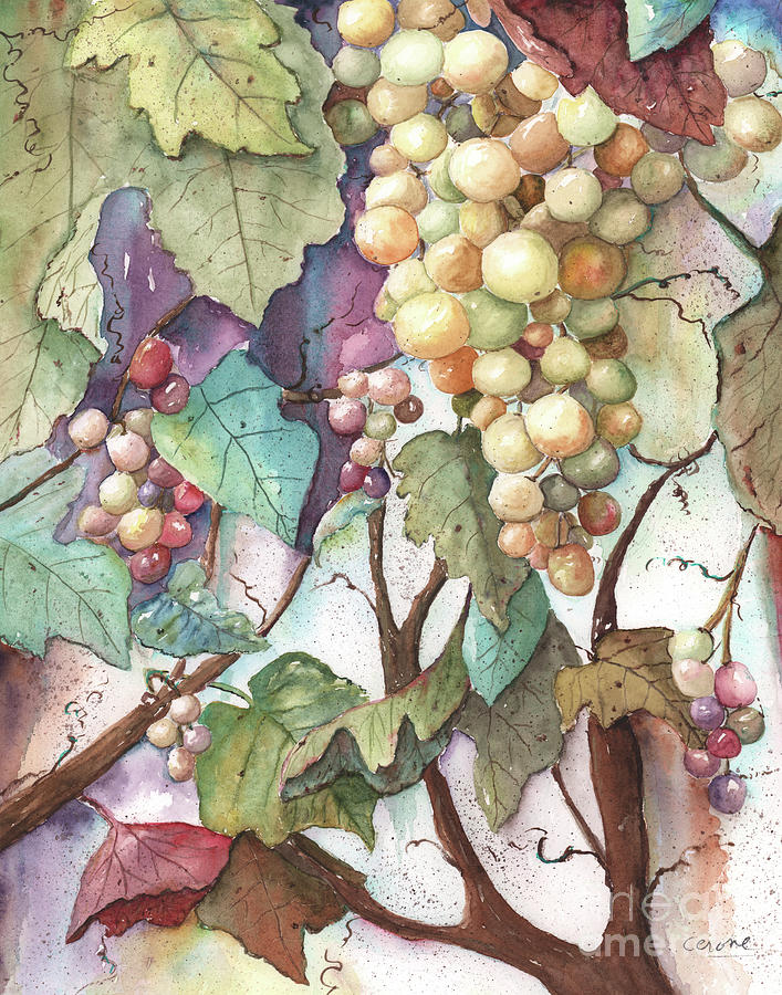 Modern Grape Watercolor Painting by Debbie Cerone